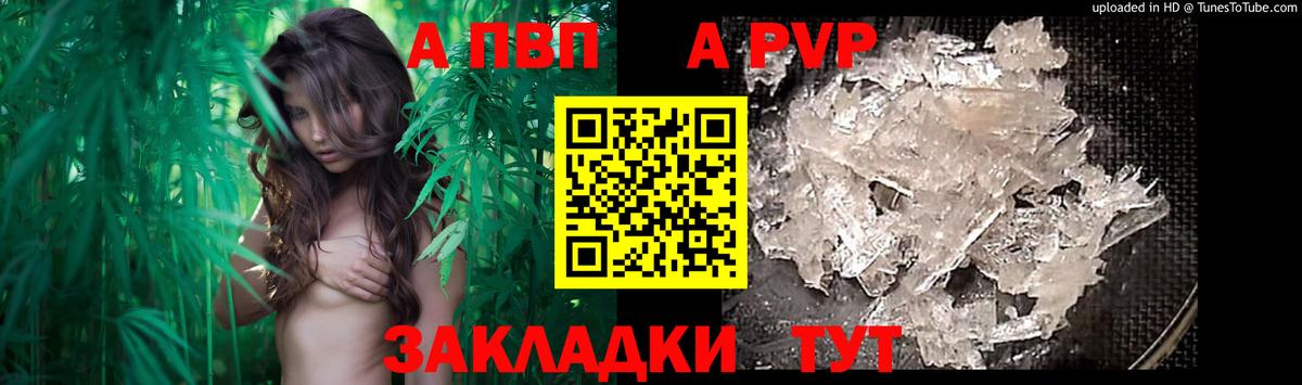 Alpha PVP СК КРИС Советск