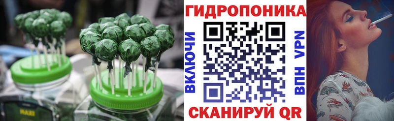 площадка какой сайт Советск Cannafood конопля