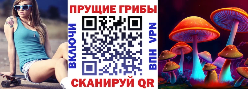 Галлюциногенные грибы GOLDEN TEACHER  купить закладку  Советск 