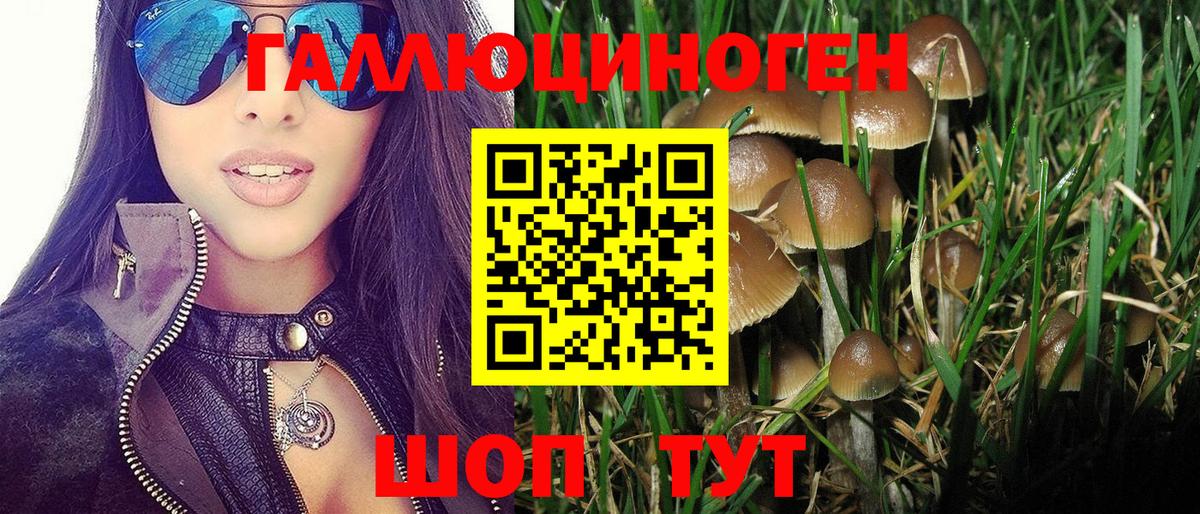 Галлюциногенные грибы Psilocybe  Вход с VPN  Советск 