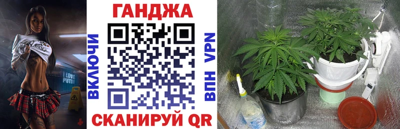 магазин продажи   Советск  Марихуана тримм 